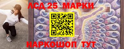 дурь Берёзовский
