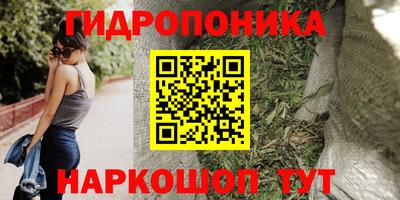 дурь Берёзовский