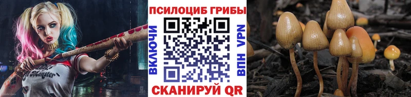 наркошоп  Богданович  Галлюциногенные грибы Cubensis 