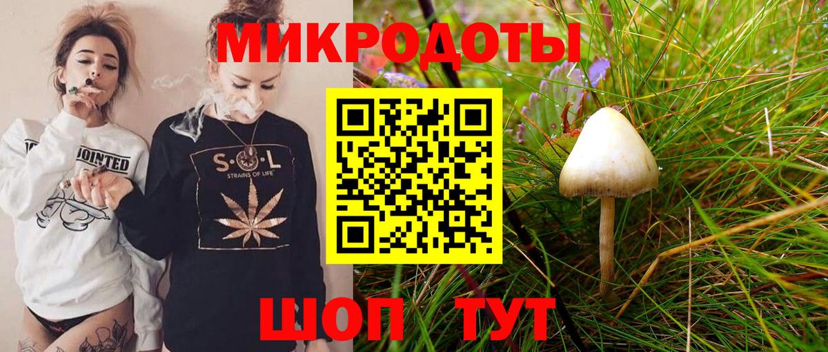 Галлюциногенные грибы мухоморы Богданович