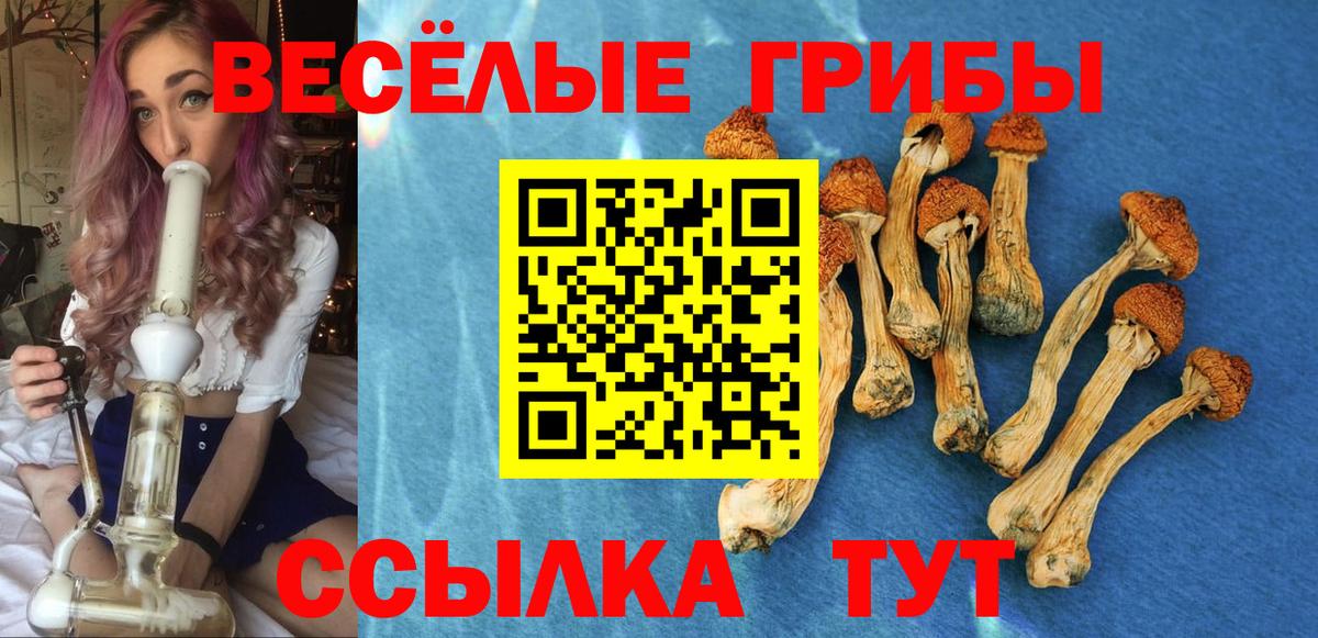 Галлюциногенные грибы Cubensis  Вход с VPN  Галлюциногенные грибы GOLDEN TEACHER  Богданович 